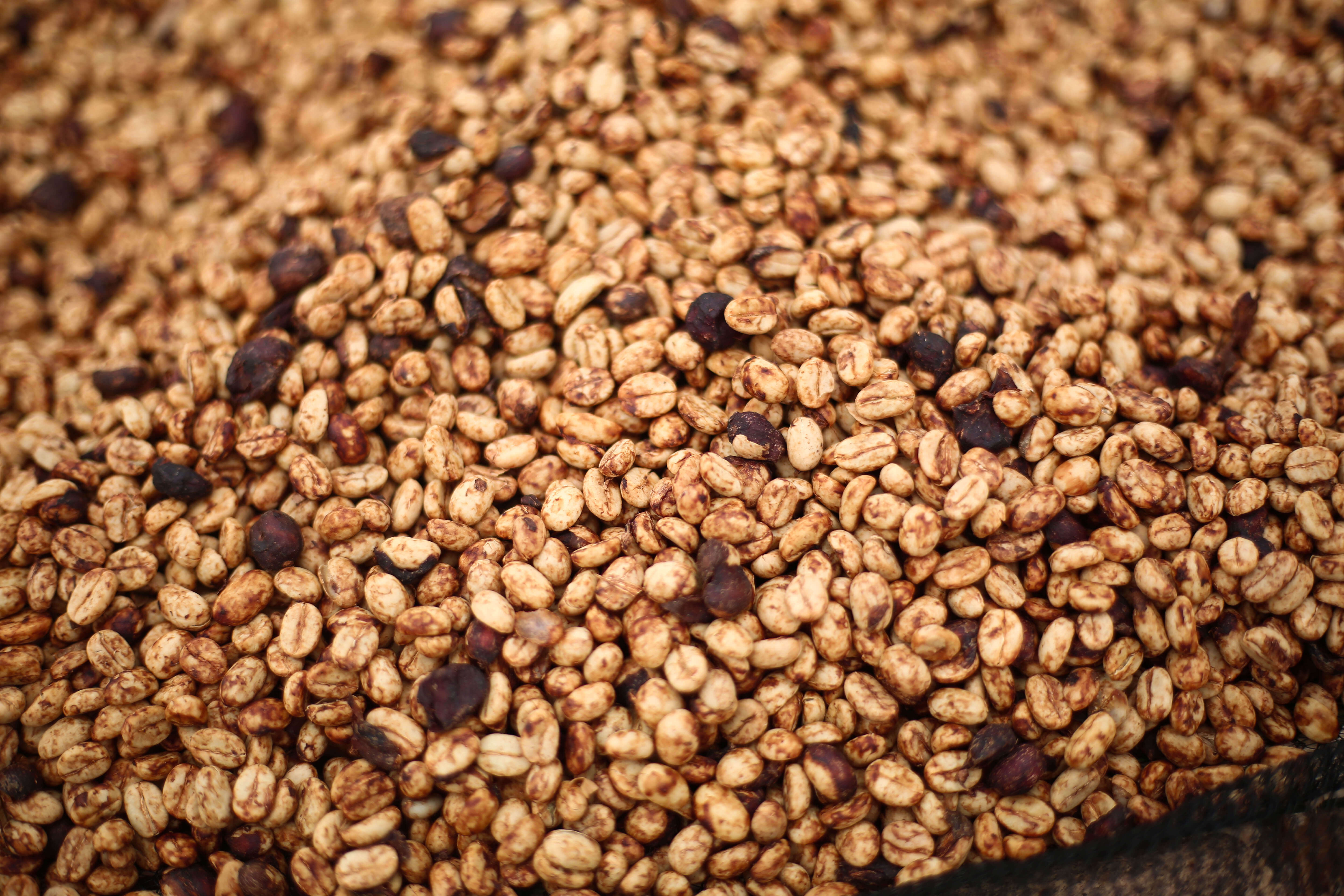 RUMUDAMO: Ethiopia Anaerobic Washed