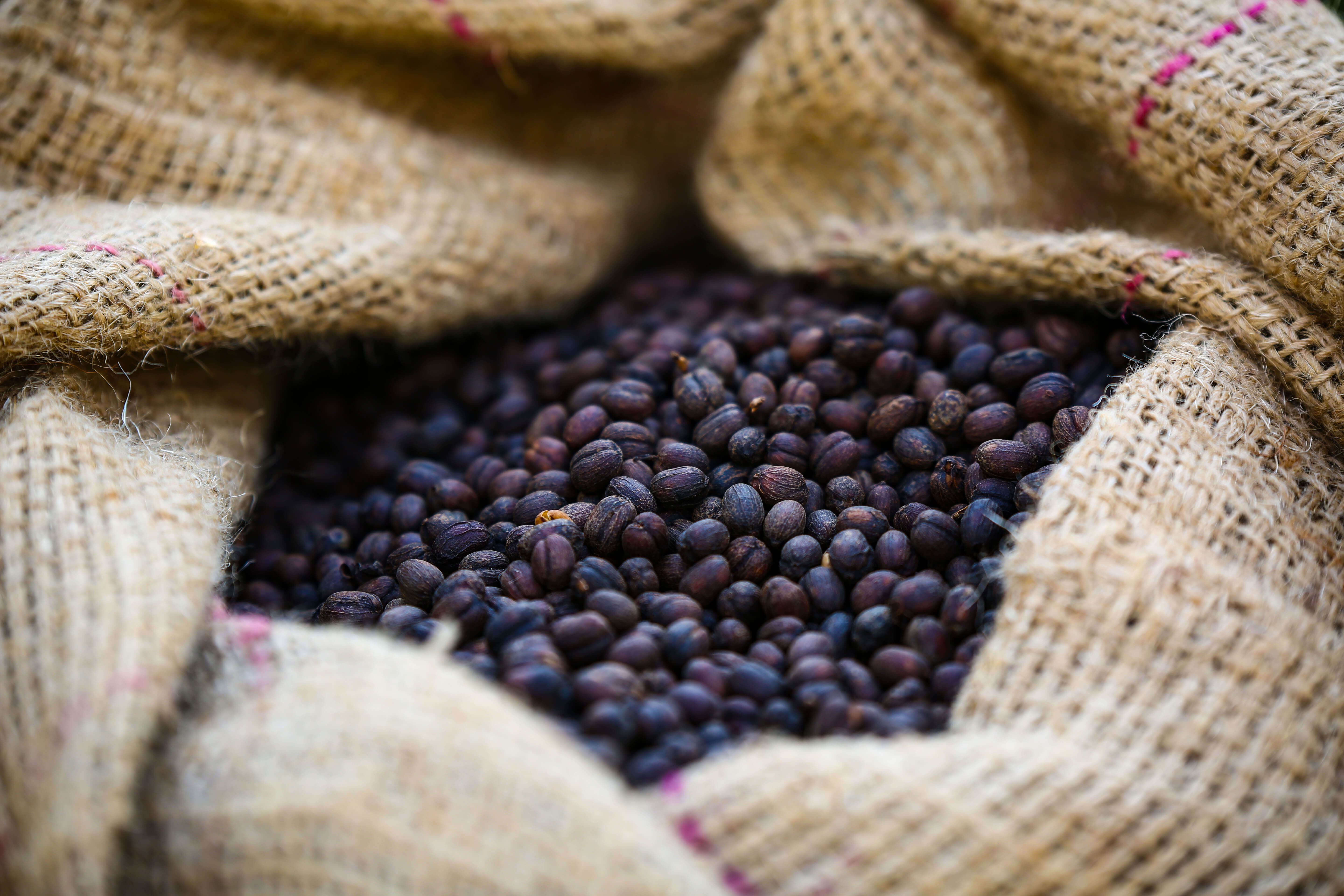 SHANTAWENE ANAEROBIC ESPRESSO: Ethiopia Anaerobic Natural