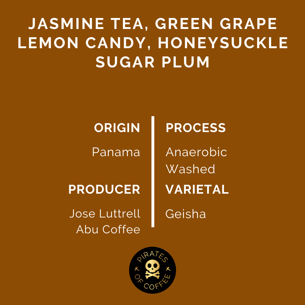 ABU Geisha GW-3230: Panama Anaerobic Washed