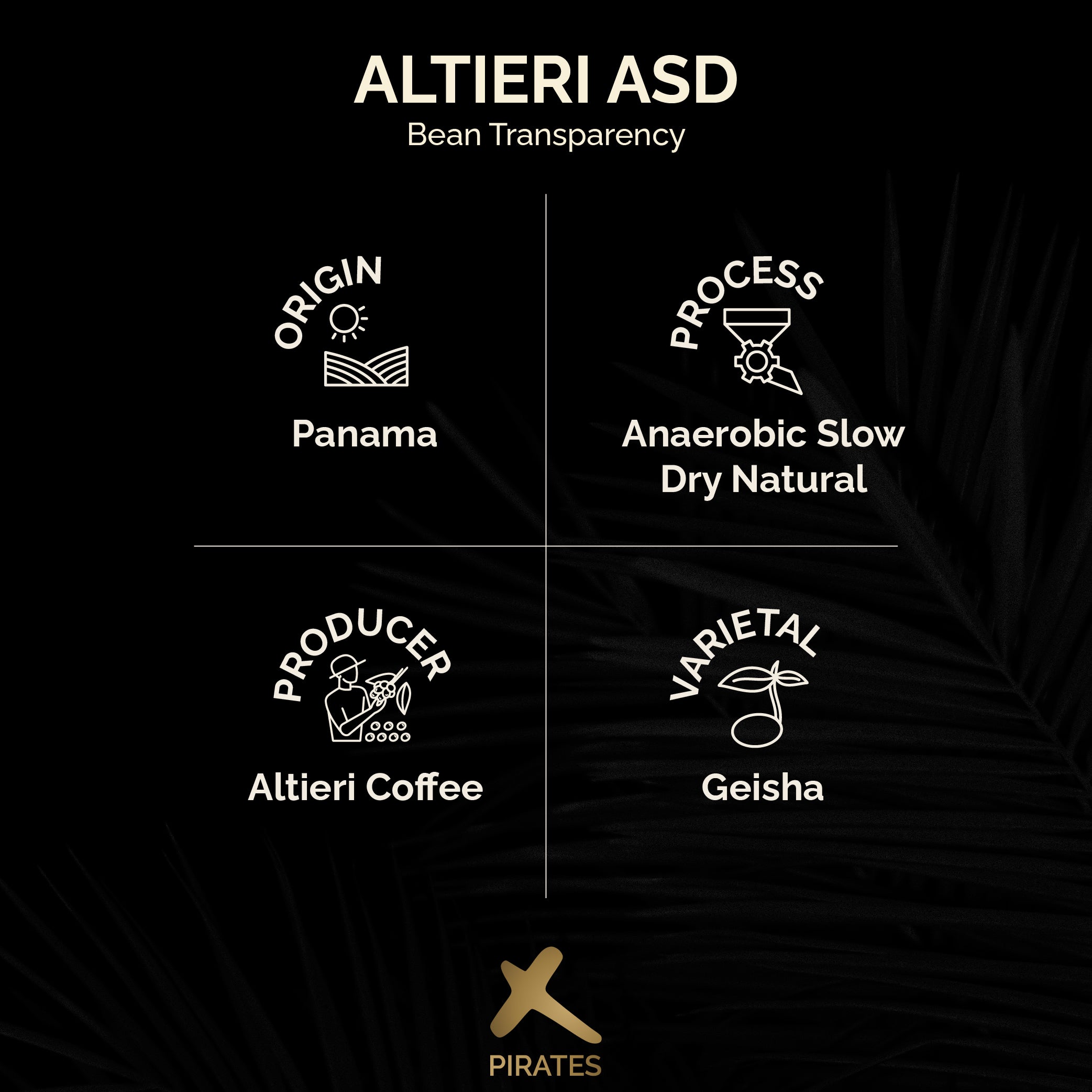 ALTIERI ASD: Panama Geisha Anaerobic Slow Dry Natural