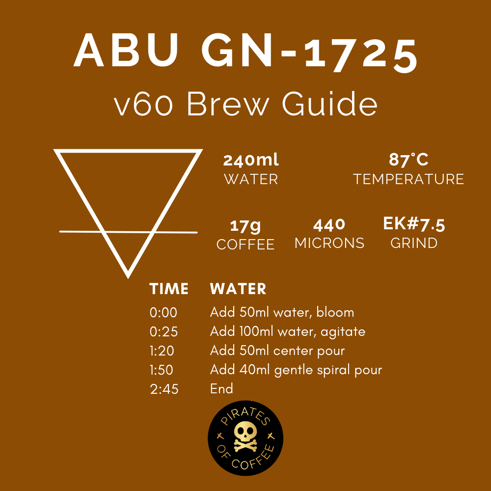 ABU GN-1725 GEISHA: Panama Anaerobic Natural