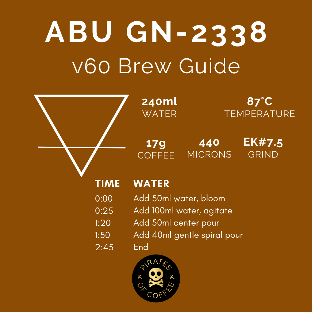ABU GN-2338 GEISHA: Panama Anaerobic Natural
