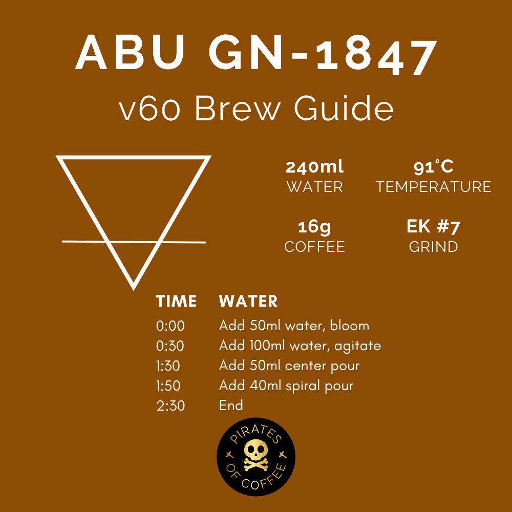 ABU GN-1847 GEISHA: Panama Anaerobic Natural