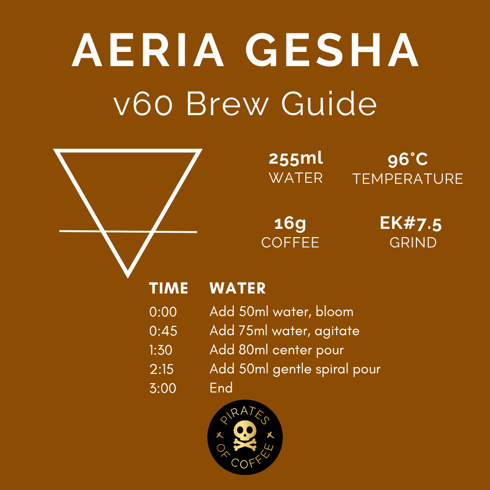 AERIA GESHA: Colombia Anaerobic Honey