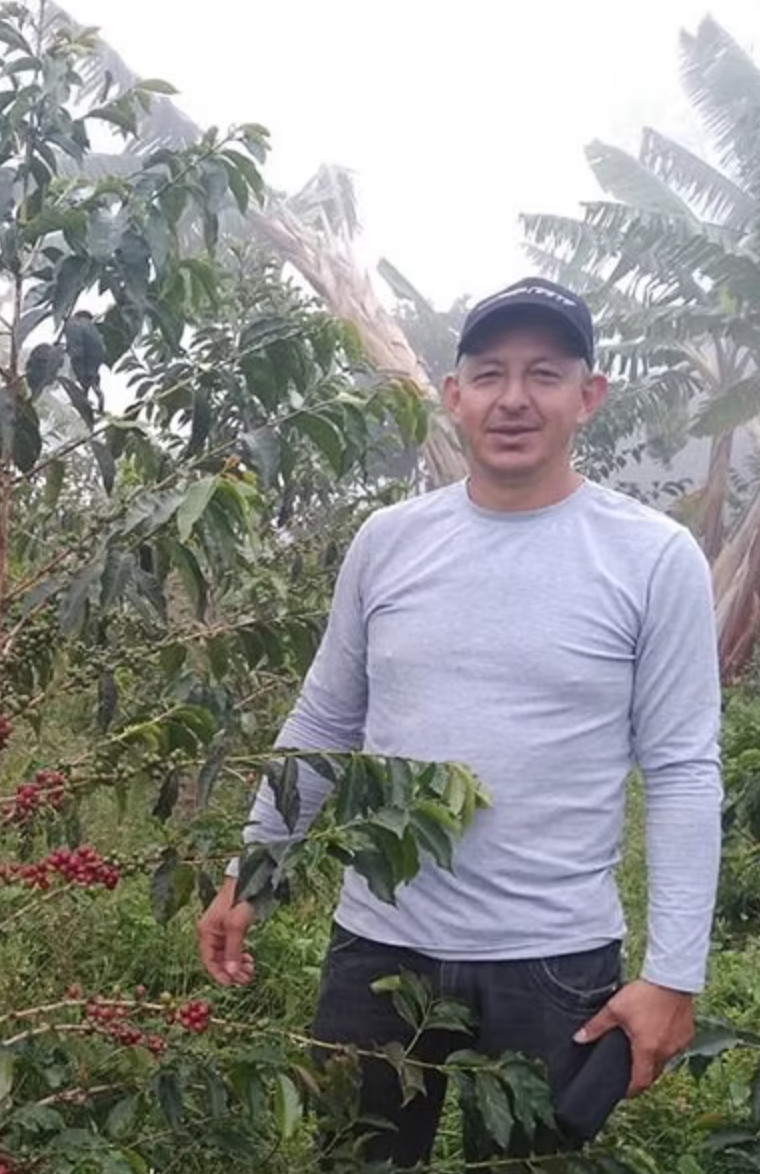 AERIA GESHA: Colombia Anaerobic Honey