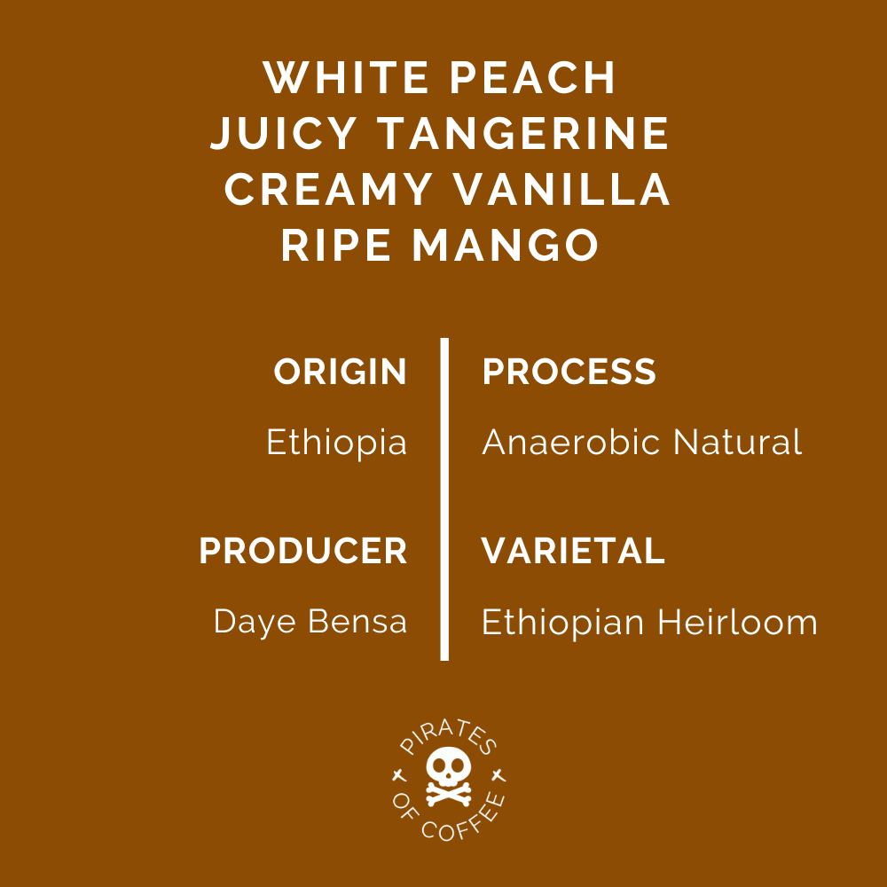 TREASURE OF HAMASHO ANAEROBIC ESPRESSO: Ethiopia Anaerobic Natural