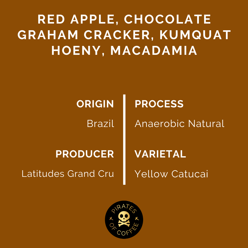 APPLE PIE: Brazil Anaerobic Natural