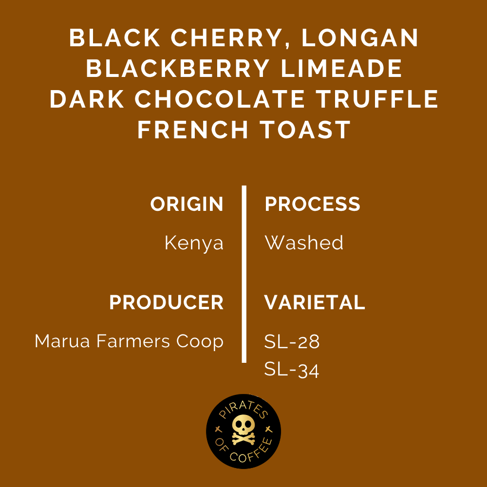 BLACK MAMBA: Kenya AA Washed