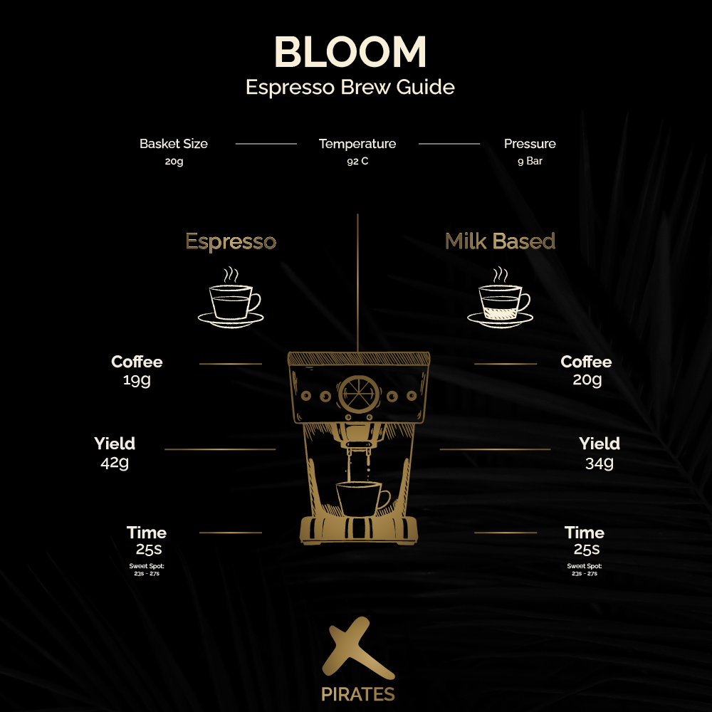 BLOOM: Ethiopia Yirgacheffe Washed