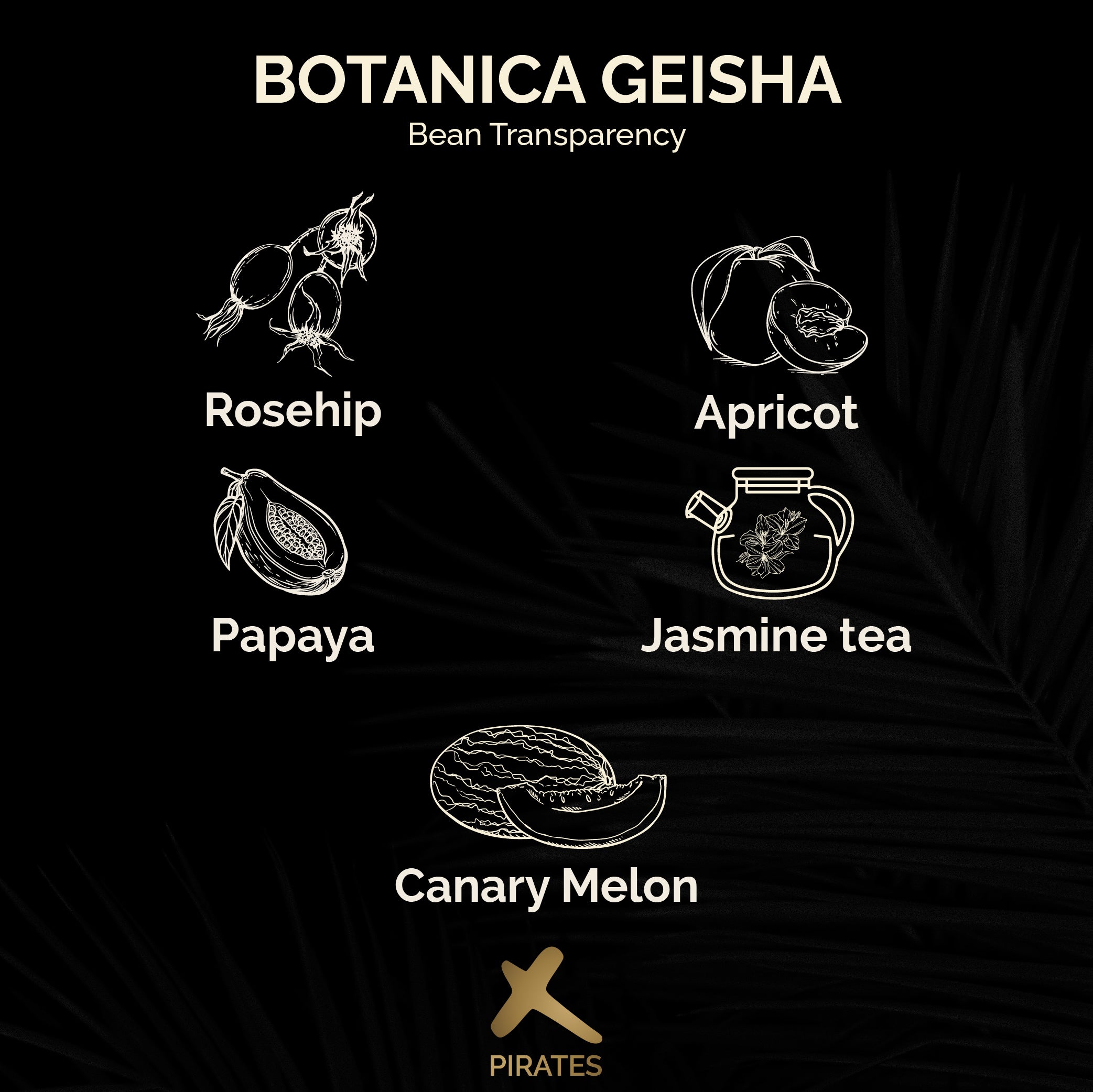 BOTANICA GEISHA: Colombia El Paraiso 92 Geisha