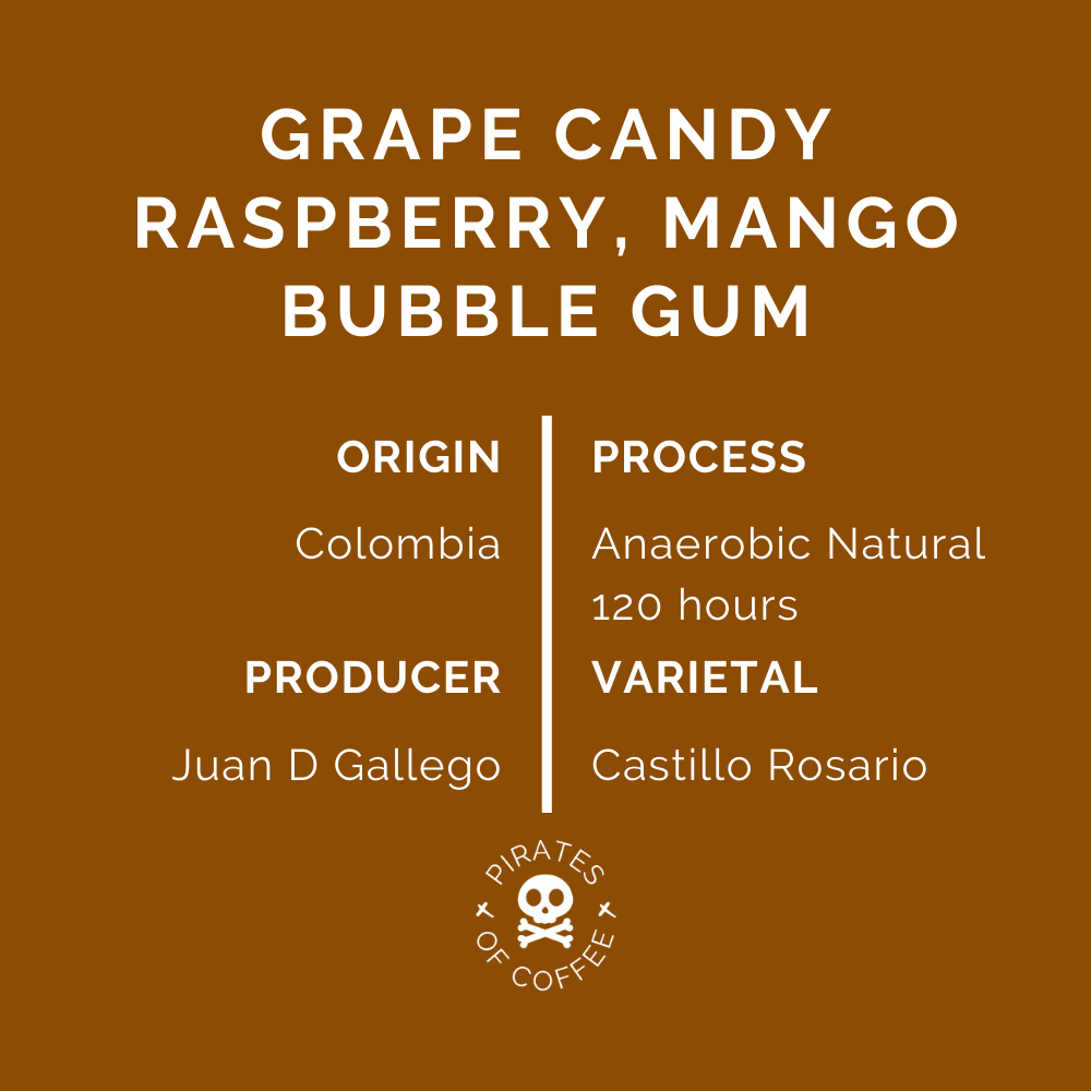 BUBBLE GUM: Colombia Anaerobic Natural