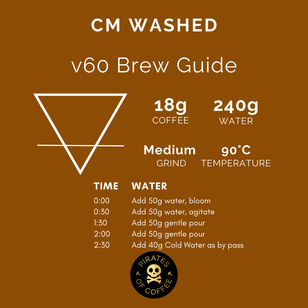 RODRIGO SANCHEZ CM WASHED: Colombia Carbonic Maceration