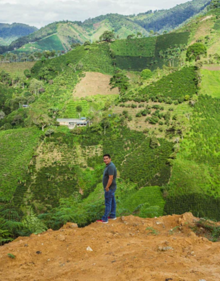 RODRIGO SANCHEZ CM WASHED: Colombia Carbonic Maceration
