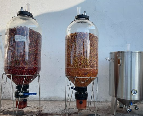 CINN CITY: Colombia Infused Anaerobic Honey