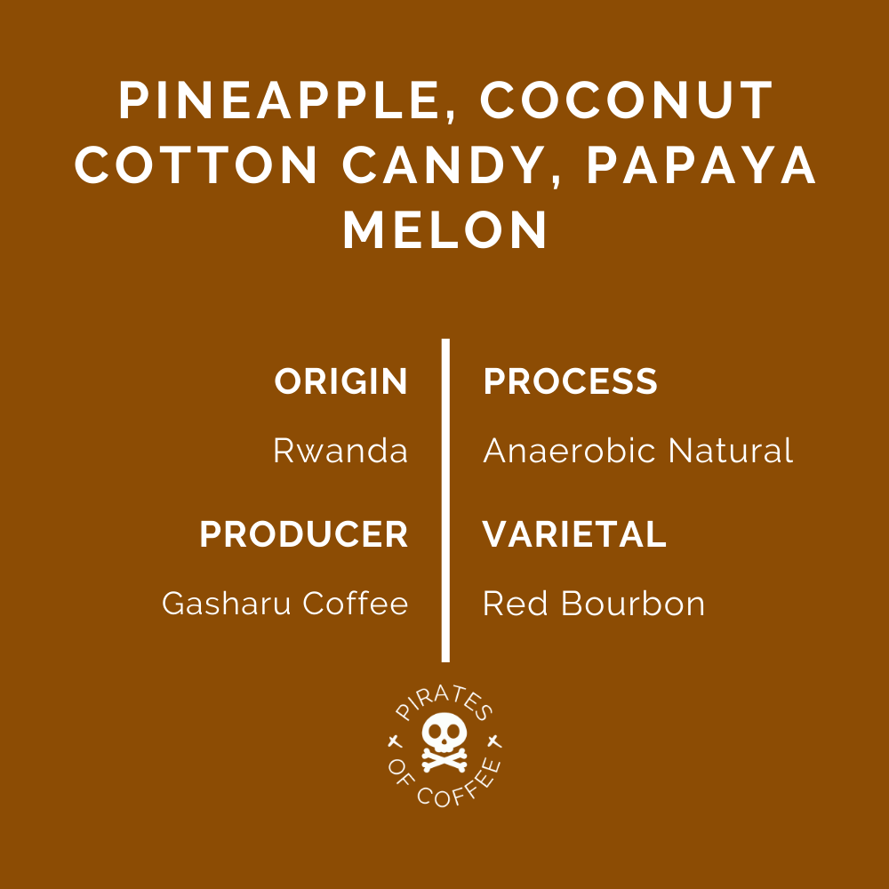 CLOUD CANDY: Rwanda Anaerobic Natural