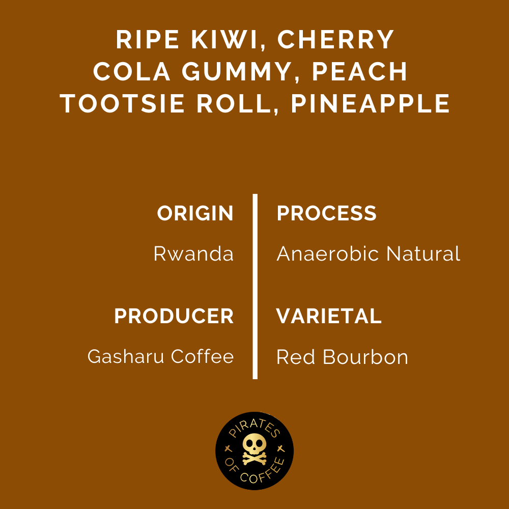 CLOUD CANDY: Rwanda Anaerobic Natural