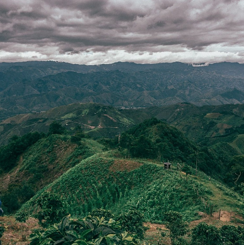 EL PATRON: Colombia Tolima