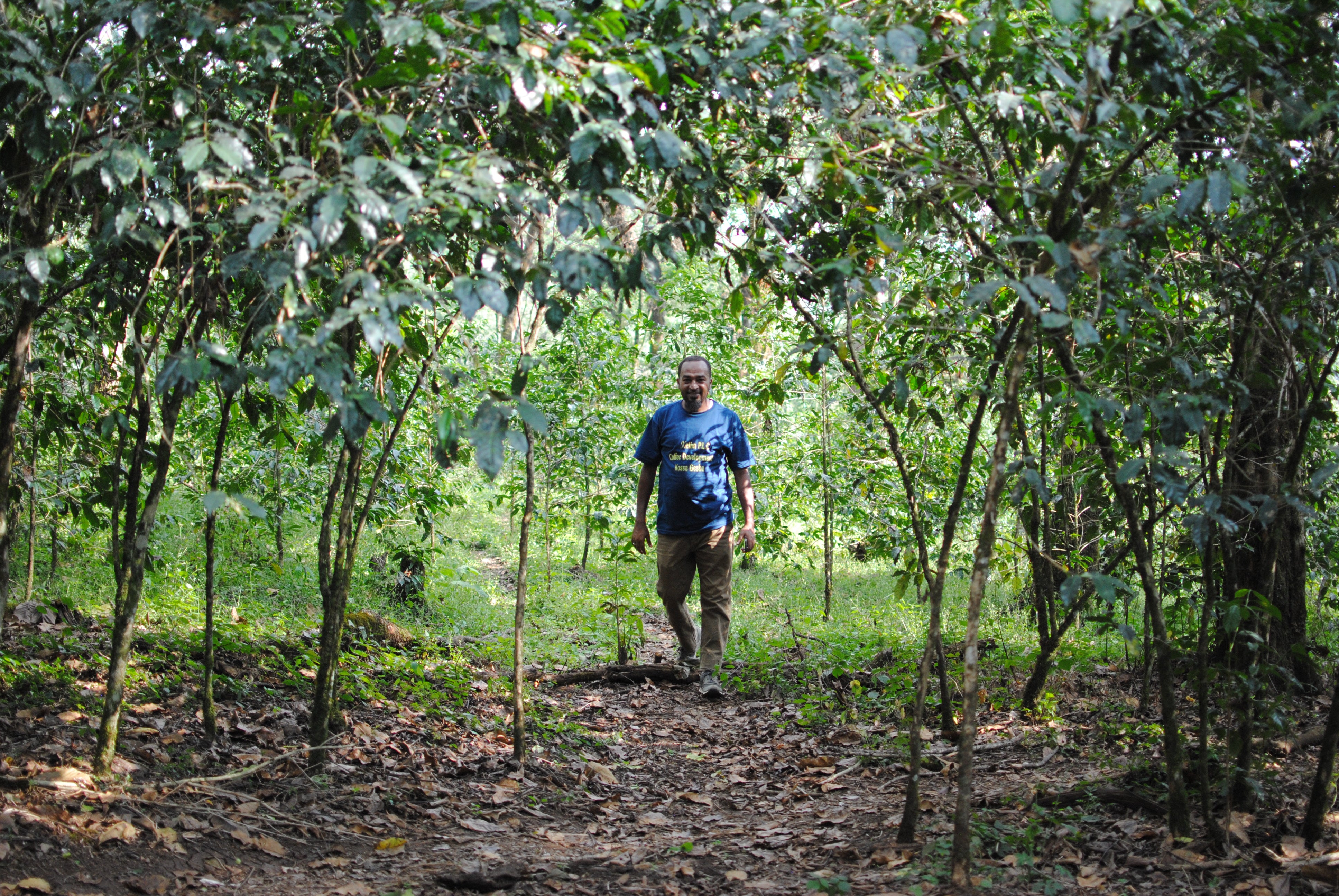 MERLOT: Ethiopia Anaerobic Natural