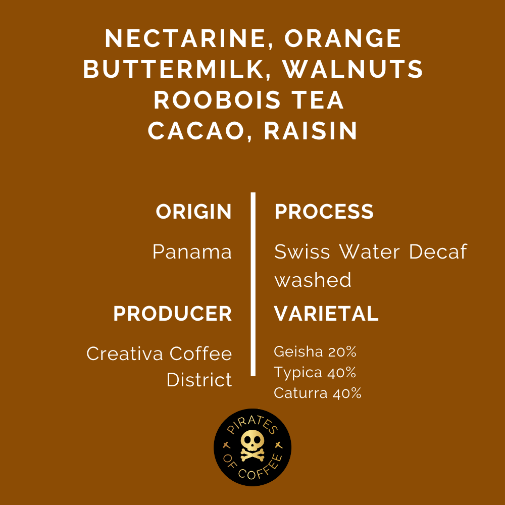 DECAF GEISHA BLEND: Panama Creativa Coffee District