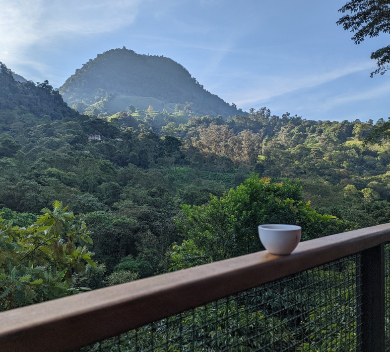 DONUT DECAF: Colombia Huila