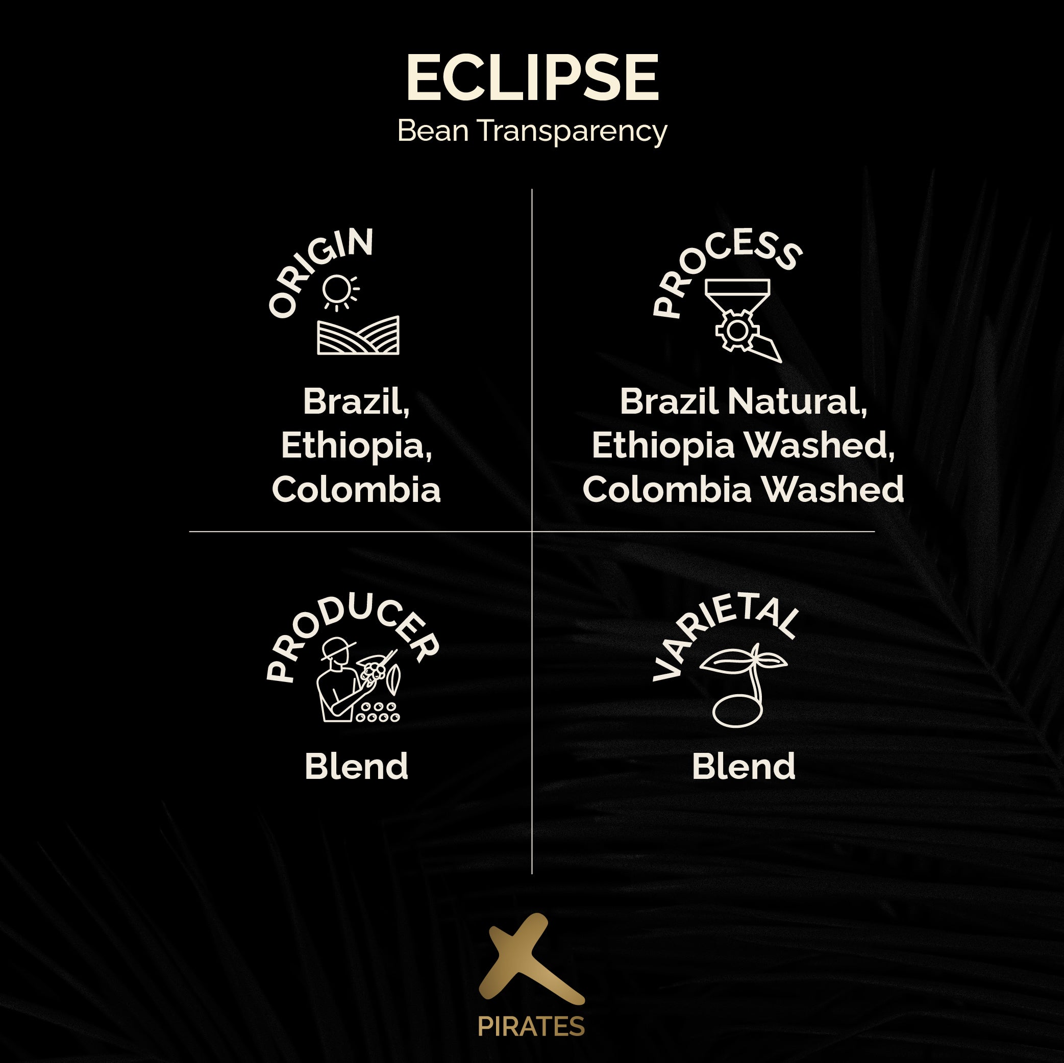 ECLIPSE: Dark Roast Blend