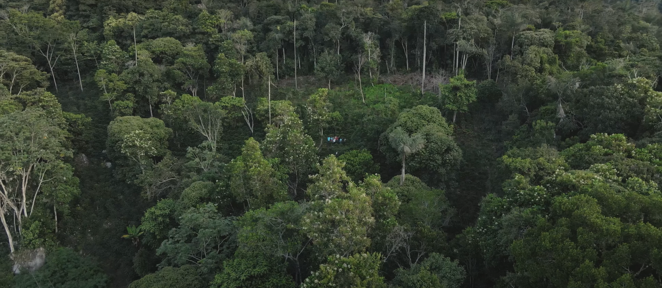EL AGUA: Peru Amazonas