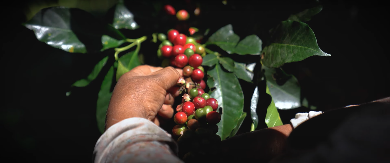 EL AGUA: Peru Amazonas