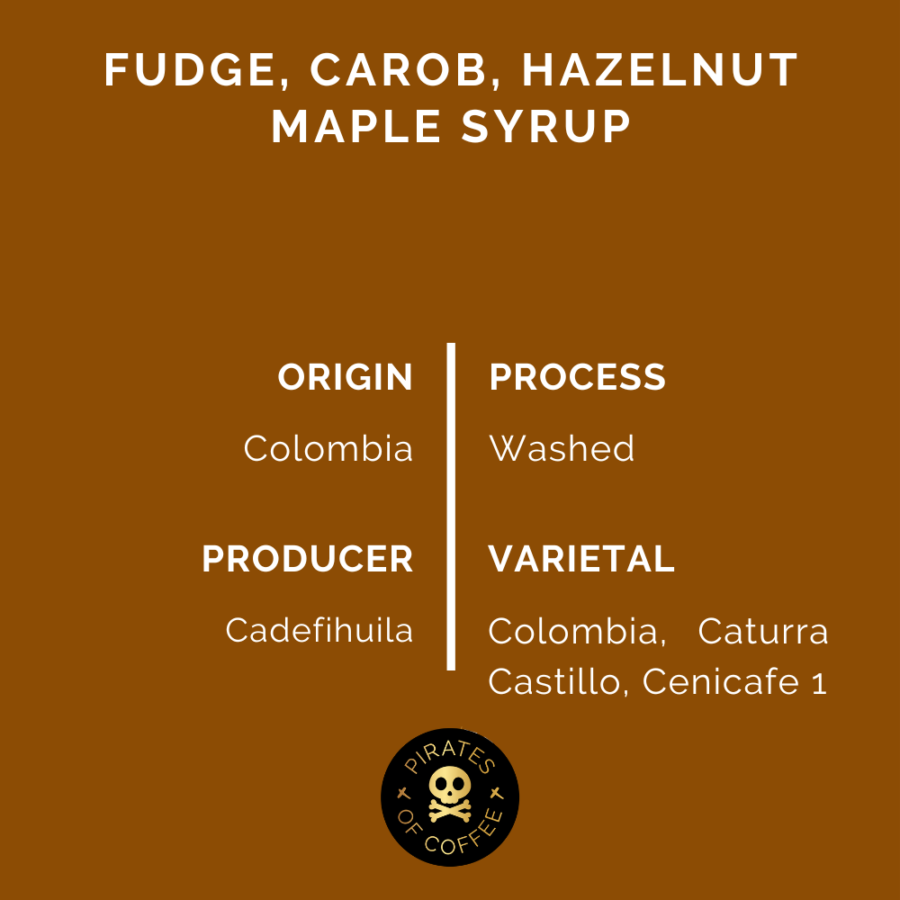 EL CHAPO: Colombia Washed