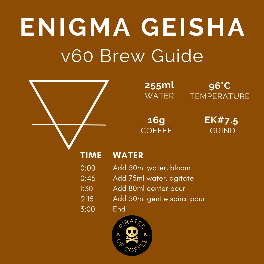 ENIGMA GEISHA: Panama Savage Carbonic Maceration Natural