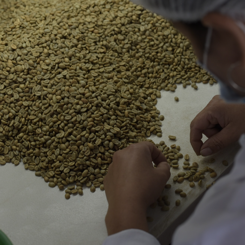 ROCHELLO ESPRESSO: Colombia Huila Washed