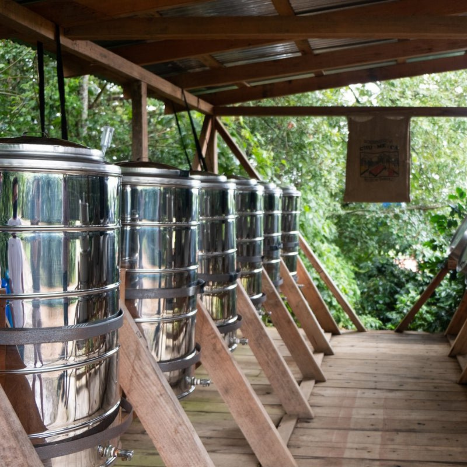 TREASURE OF INDONESIA: Sumatra Gayo Anaerobic Natural