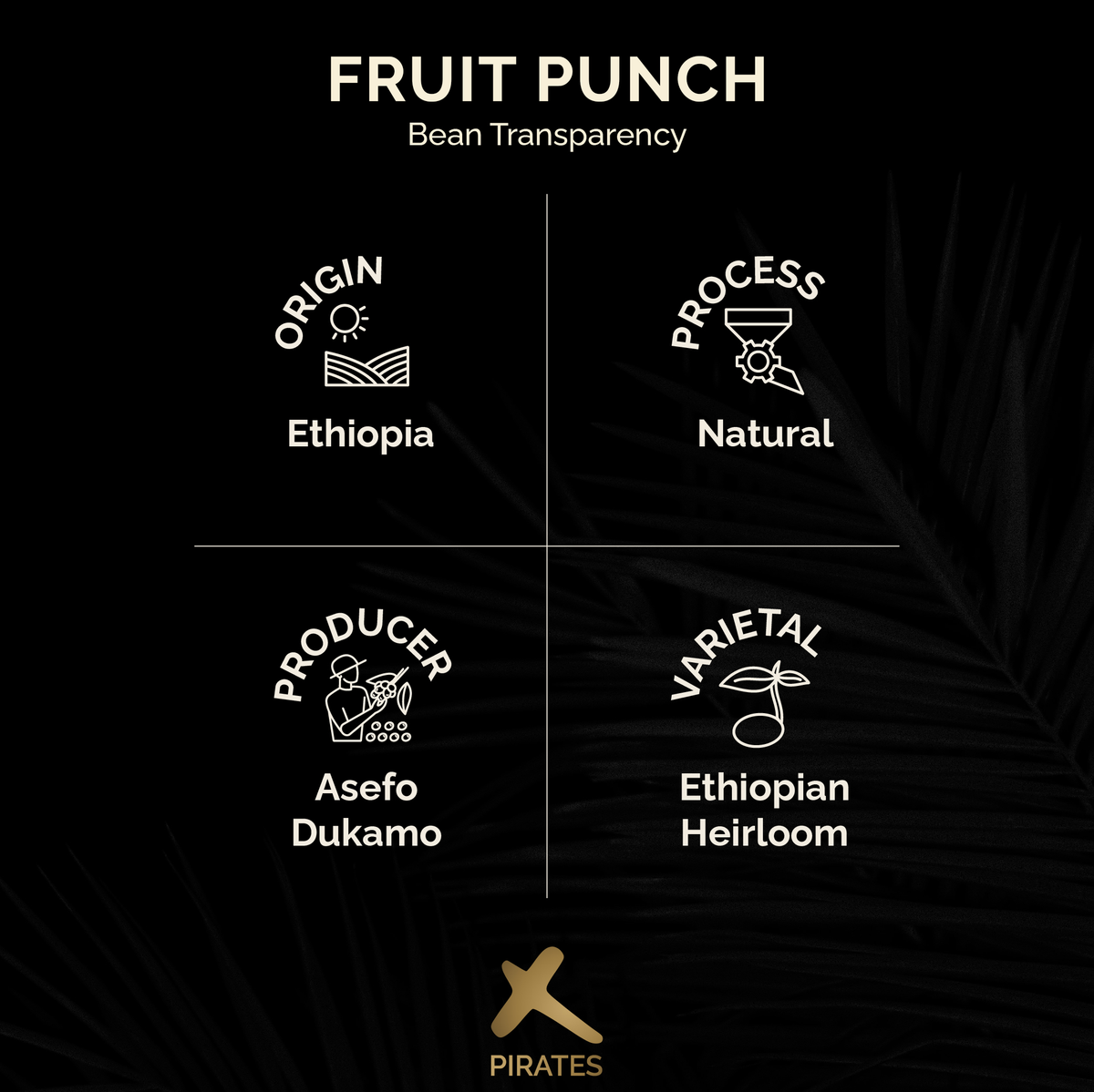 FRUIT PUNCH: Ethiopia Natural