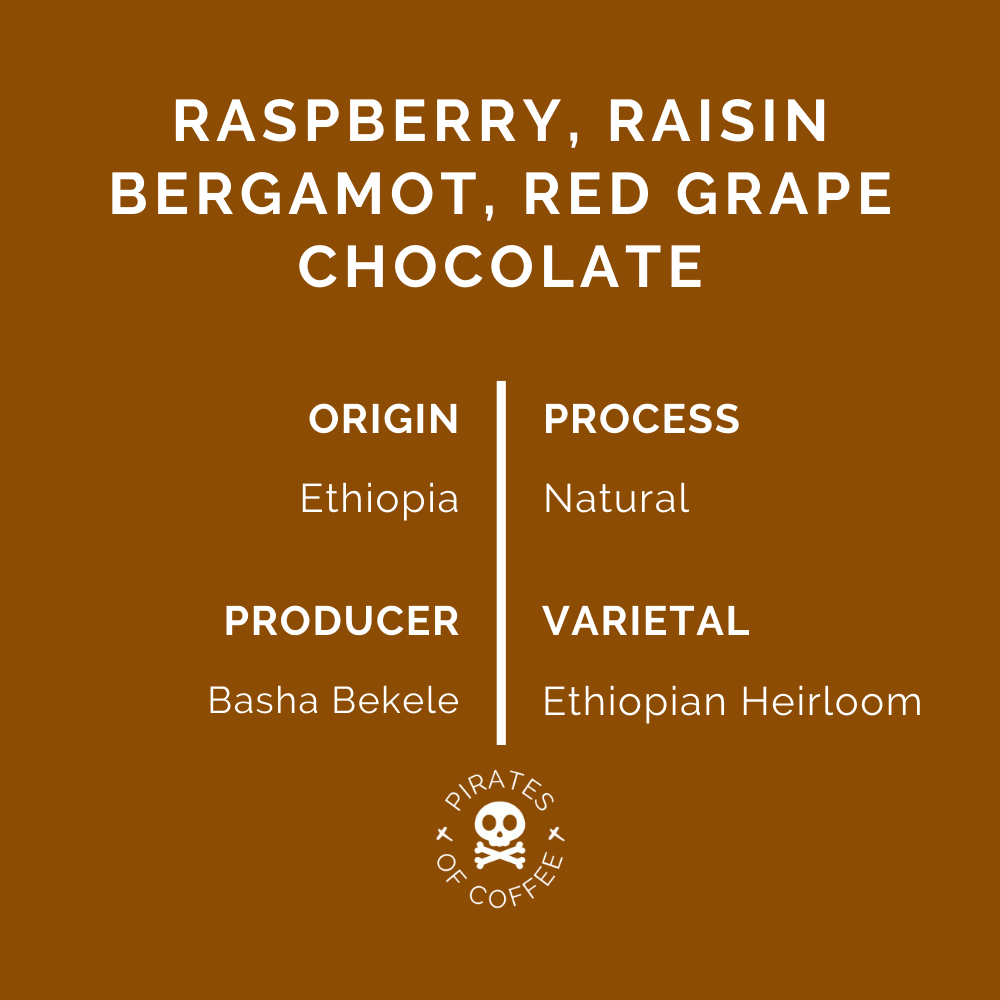 FRUIT PUNCH ESPRESSO: Ethiopia Bombe Sidama