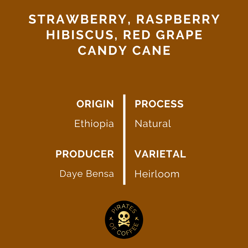 FRUIT PUNCH: Ethiopia Sidama Natural