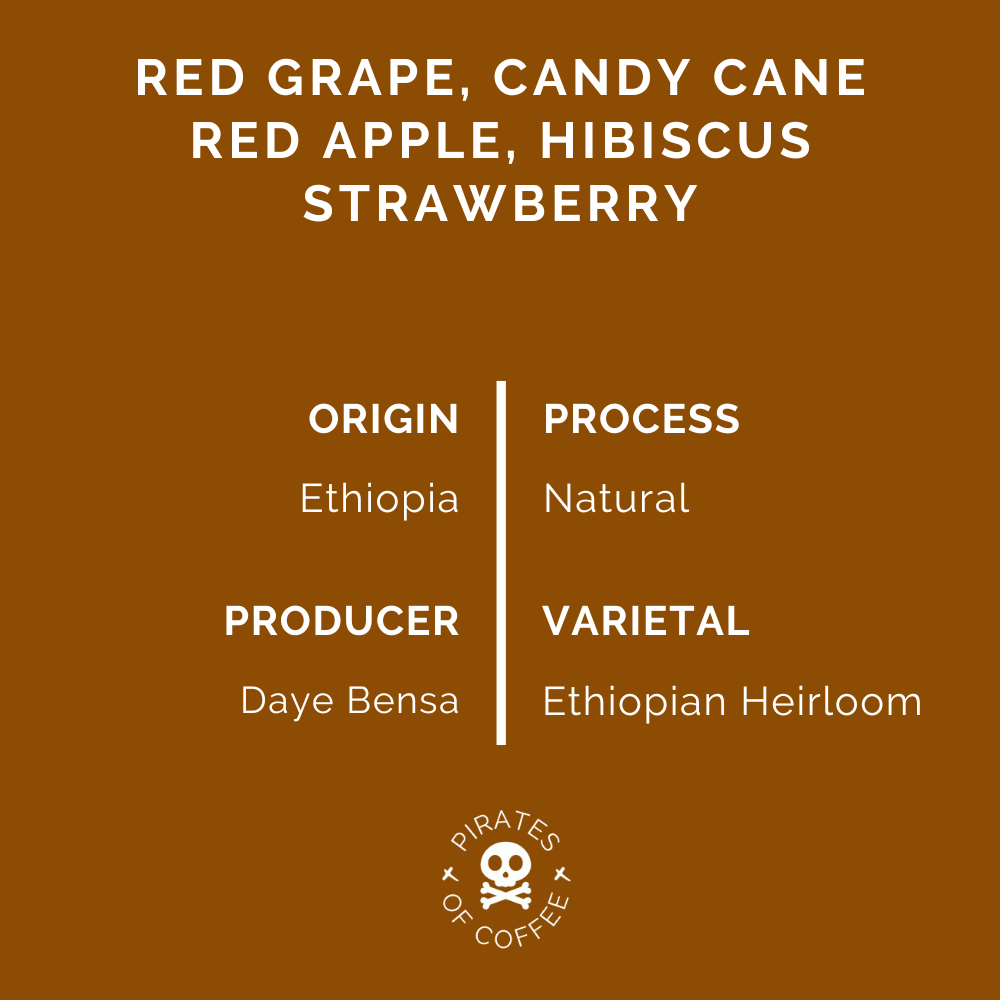 FRUIT BOMBE: Ethiopia Bombe Sidamo Natural
