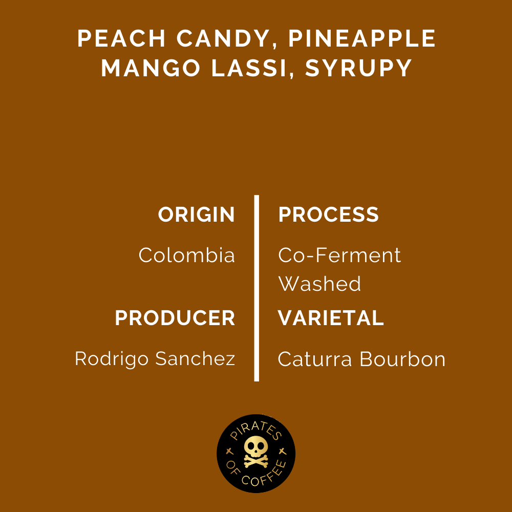 FXZZY PEACH ESPRESSO: Colombia Co-Ferment Washed