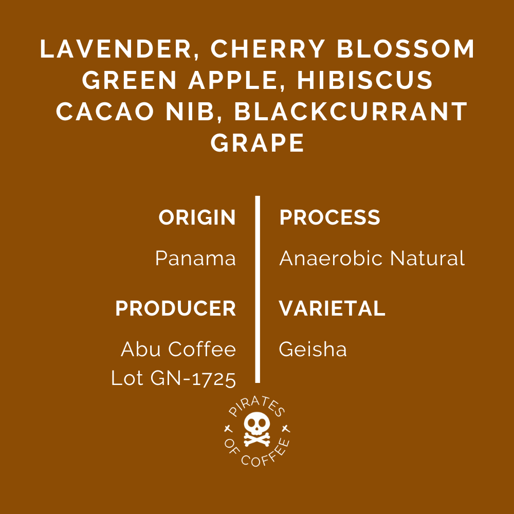 ABU GN-1725 GEISHA: Panama Anaerobic Natural