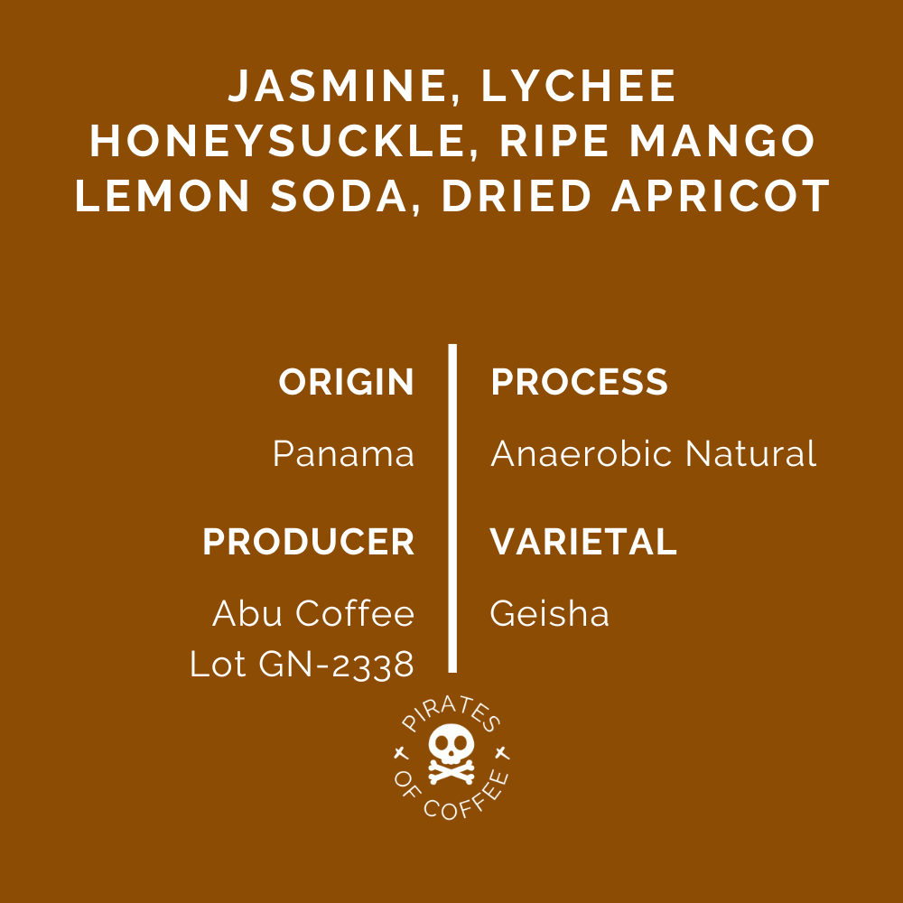 ABU GN-2338 GEISHA: Panama Anaerobic Natural