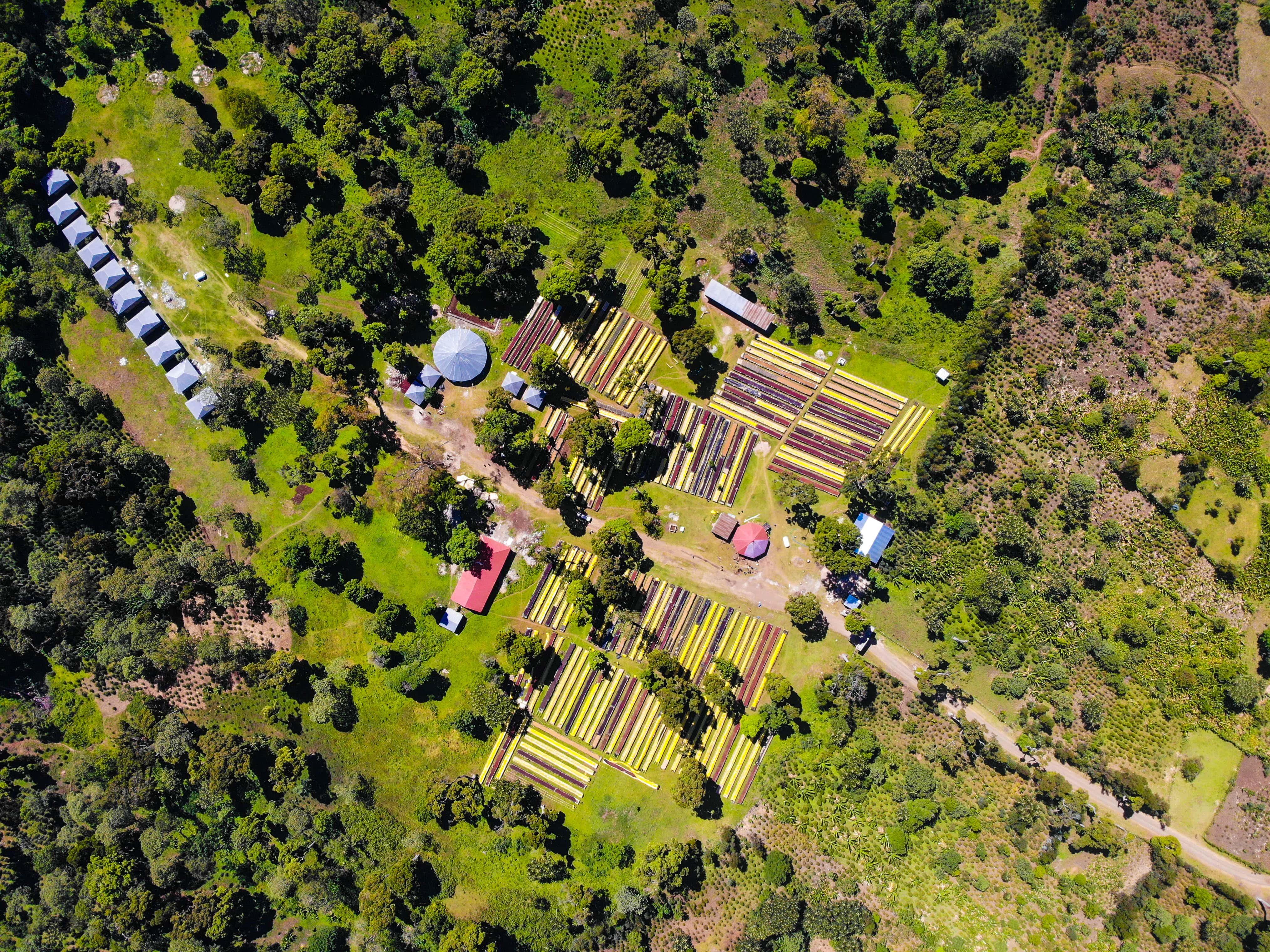 SHANTAWENE ANAEROBIC: Ethiopia Anaerobic Natural 2023