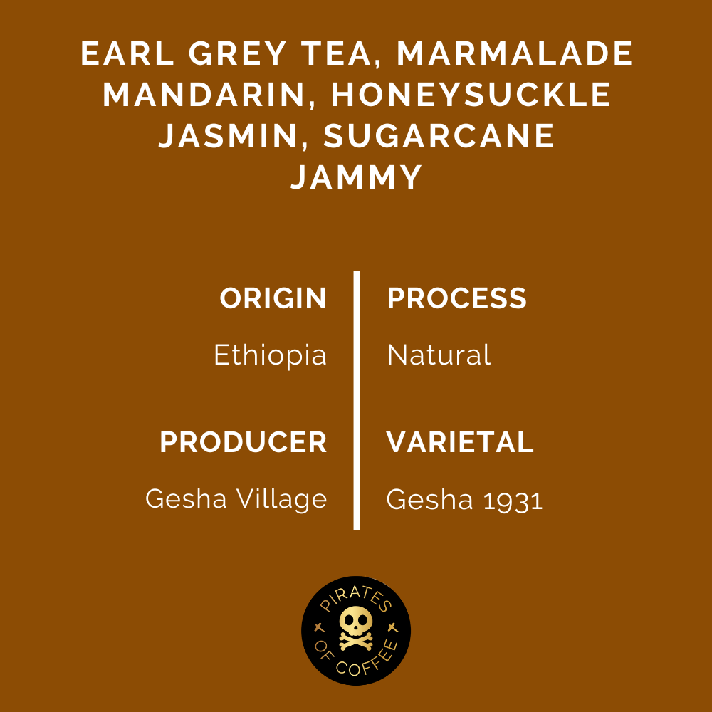 GESHA VILLAGE OMA #080: Ethiopia Natural Gesha 1931