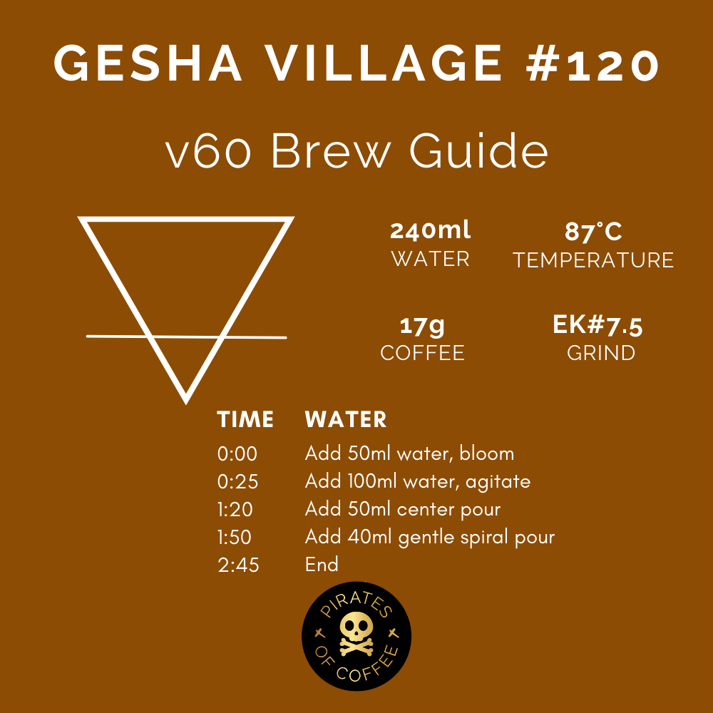 GESHA VILLAGE OMA #120: Ethiopia Natural Gesha 1931