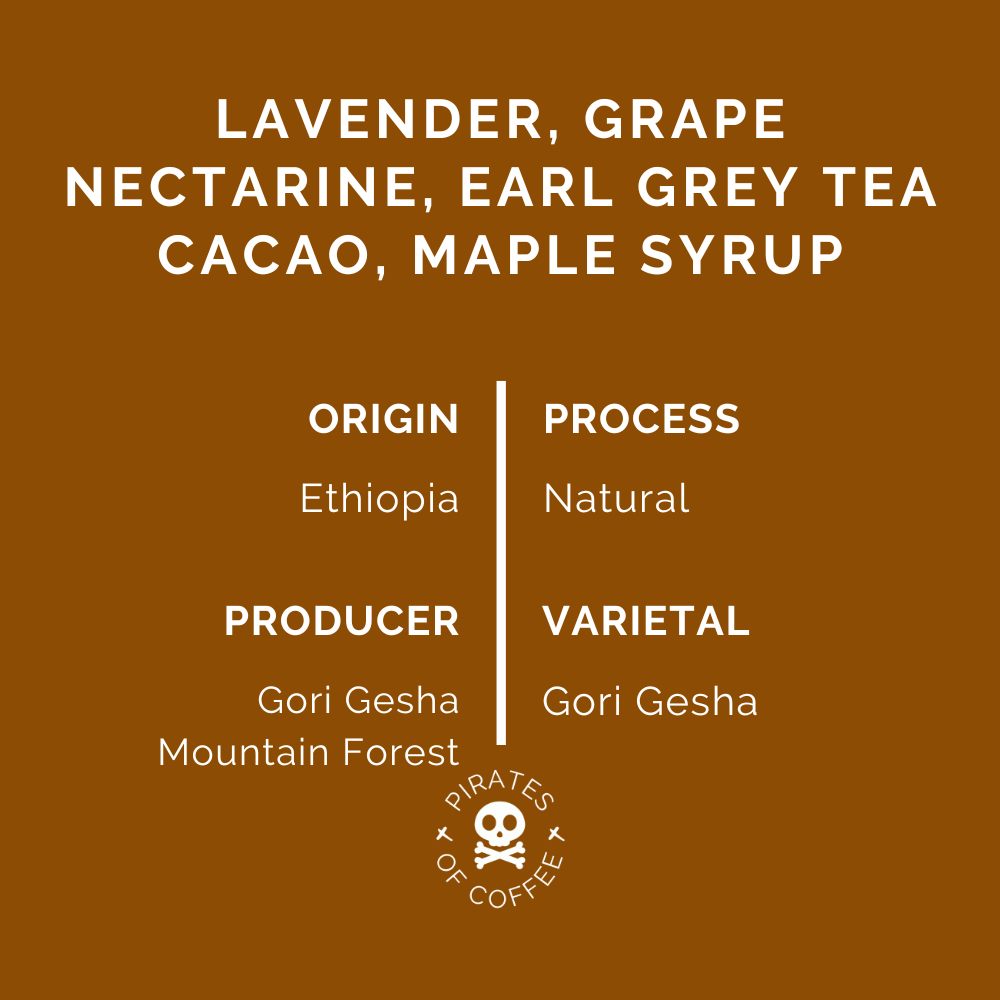 GORI GESHA ESPRESSO: Ethiopia Natural Gesha