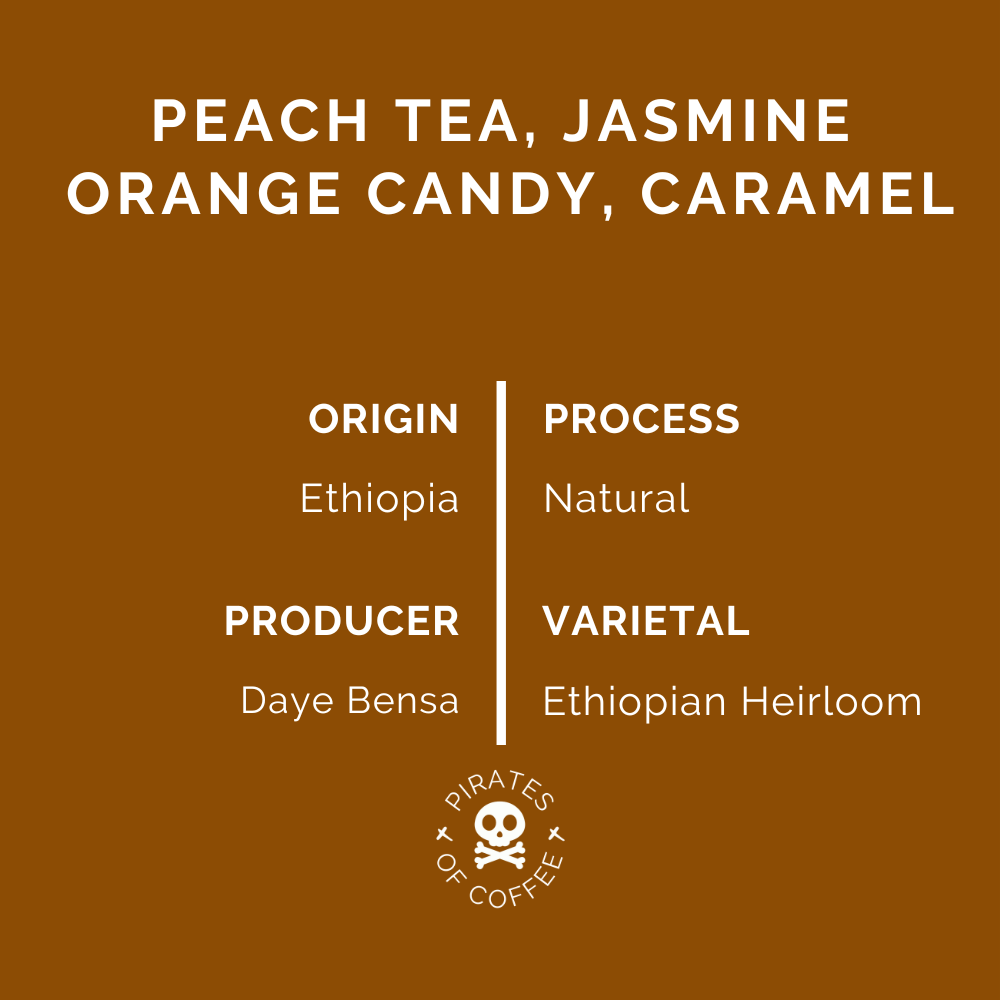 2023 TREASURE OF HAMASHO: Ethiopia Natural