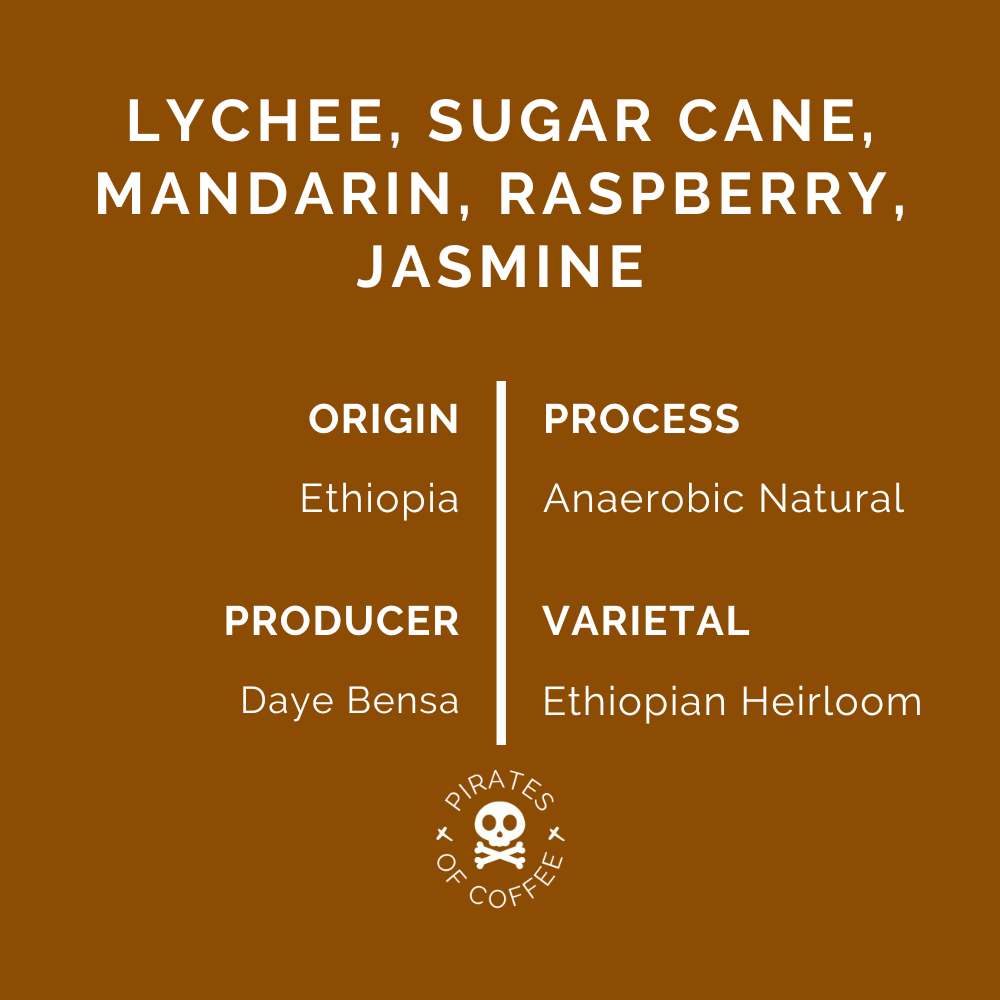 TREASURE OF HAMASHO ANAEROBIC: Ethiopia Anaerobic Natural