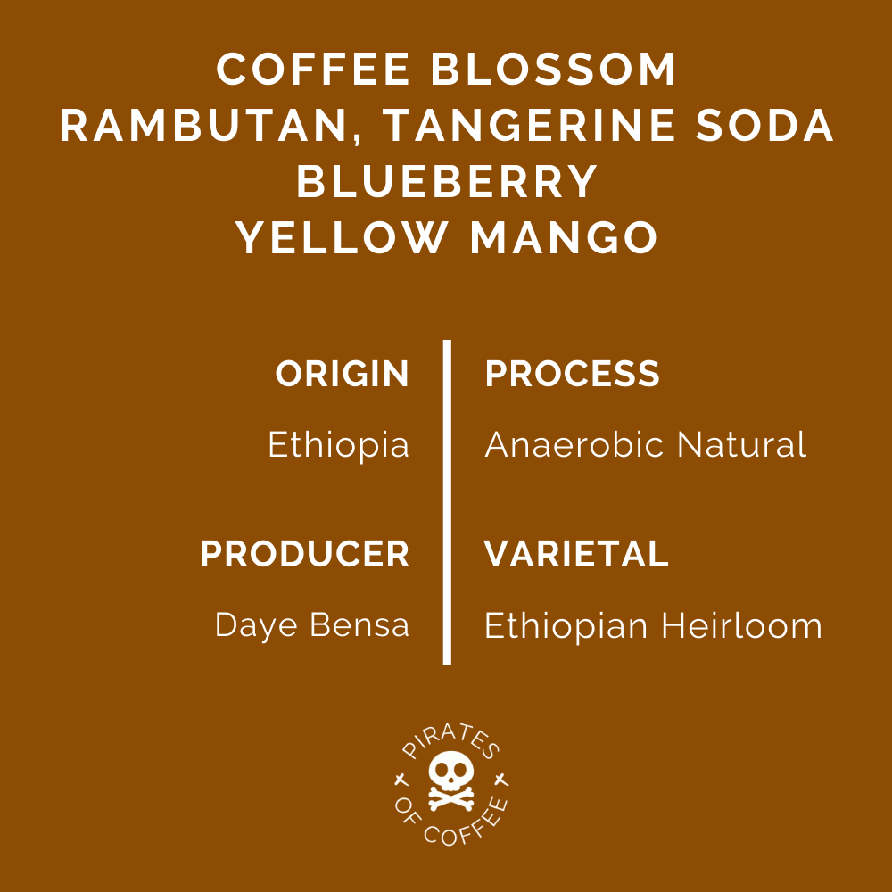 TREASURE OF HAMASHO ANAEROBIC: Ethiopia Anaerobic Natural