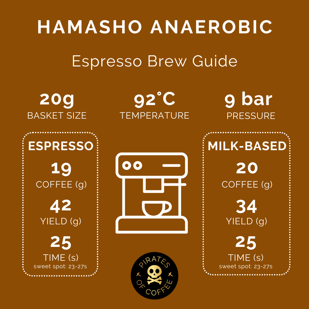 TREASURE OF HAMASHO ANAEROBIC ESPRESSO: Ethiopia Anaerobic Natural