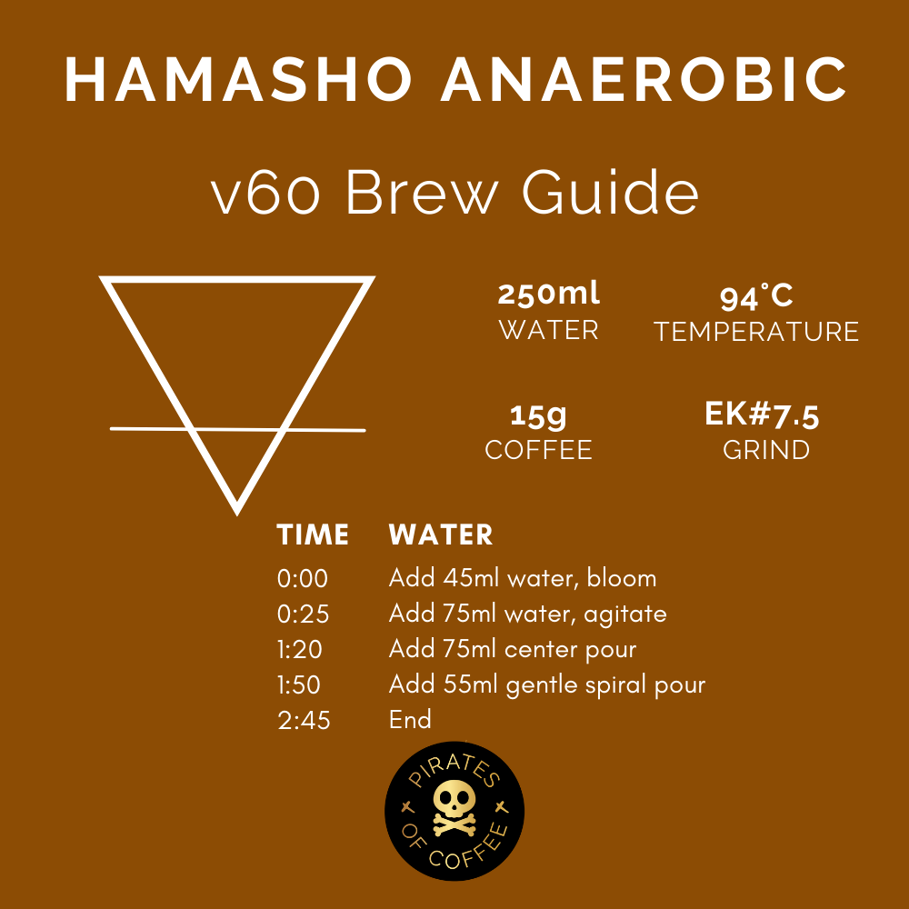 DAYE BENSA HAMASHO ANAEROBIC: Ethiopia Anaerobic Natural