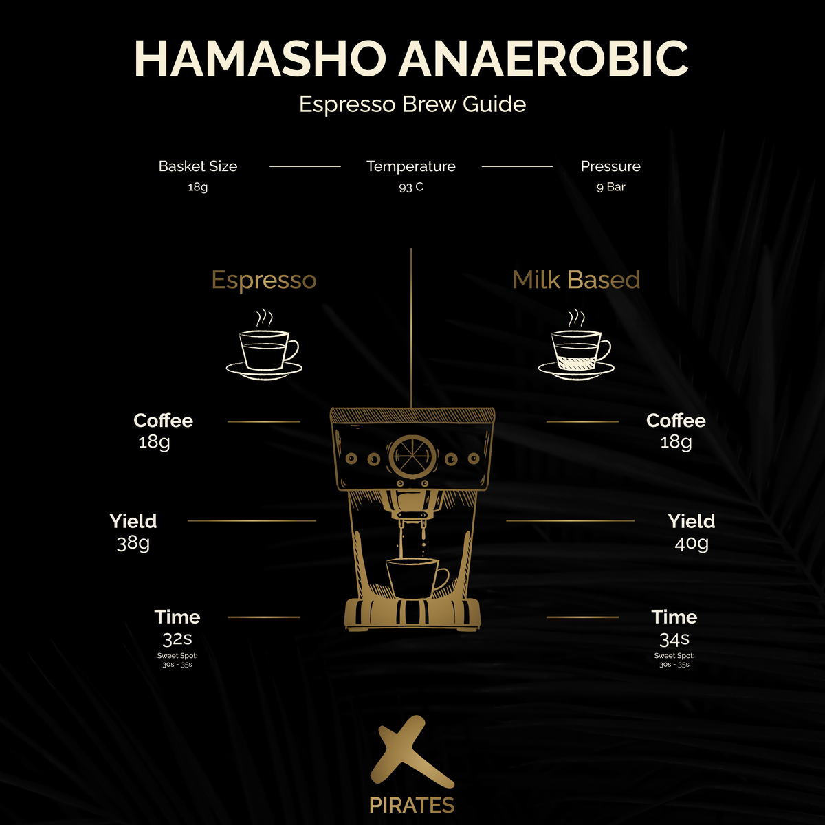 HAMASHO ANAEROBIC: Ethiopia Daye Bensa Anaerobic Natural