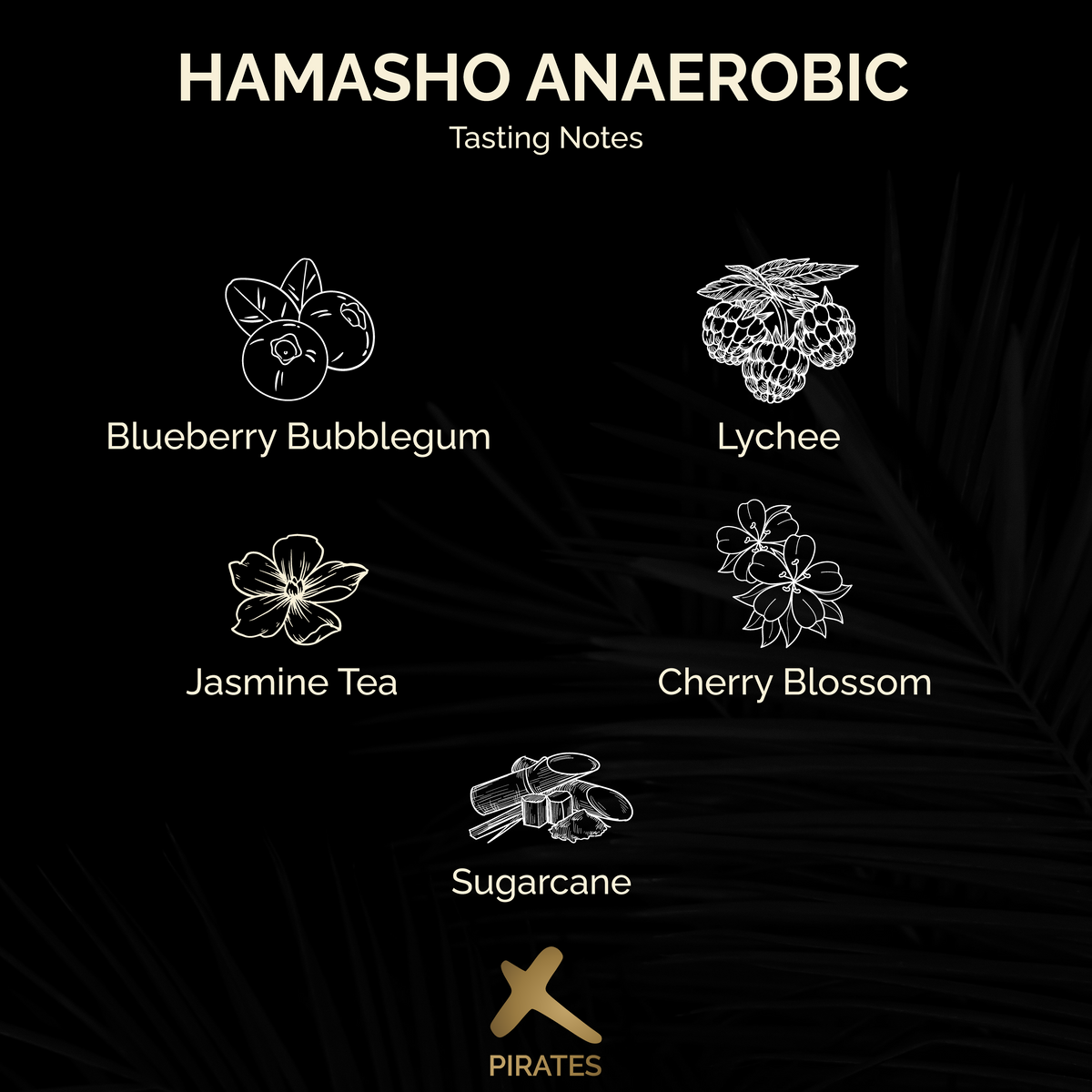 HAMASHO ANAEROBIC: Ethiopia Daye Bensa Anaerobic Natural