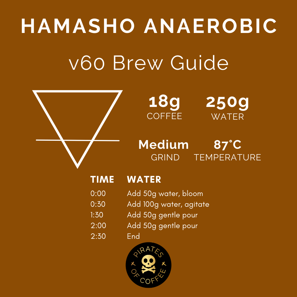 TREASURE OF HAMASHO ANAEROBIC: Ethiopia Anaerobic Natural